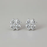 2.4 Carat Moissanite Stud Earrings | 925 Sterling Silver Gold & Platinum Plated