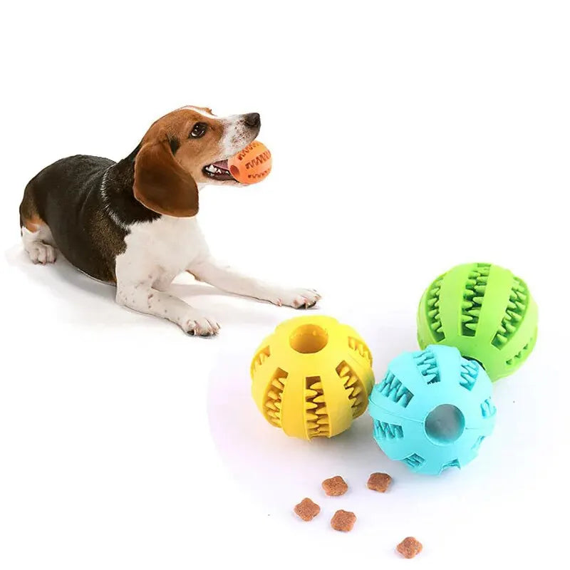 Chew Ball for Dogs